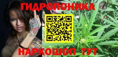 прущая мука Лесосибирск