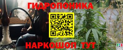 прущая мука Лесосибирск