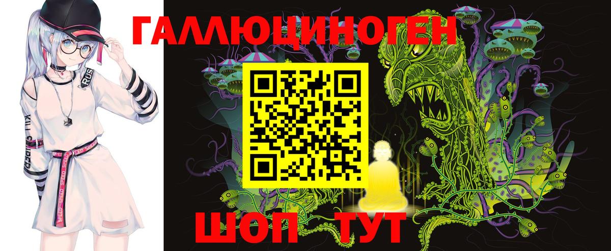 Галлюциногенные грибы Psilocybe Губкинский